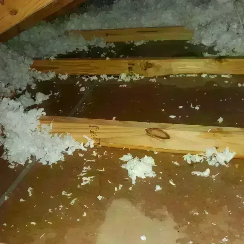 Attic Water Damage in Weirton, WV