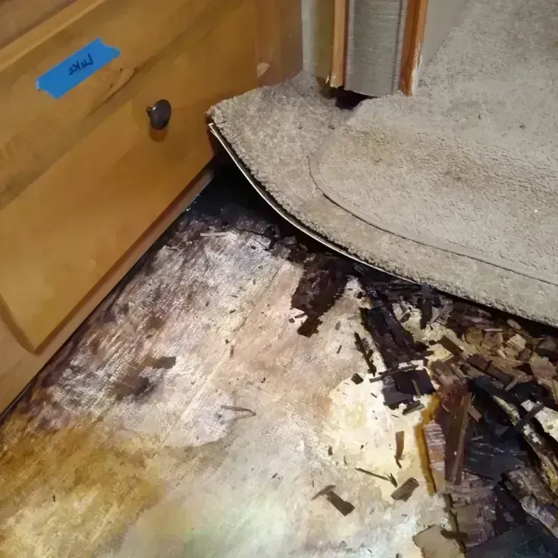 Best Wood Floor Water Damage Service in Weirton, WV